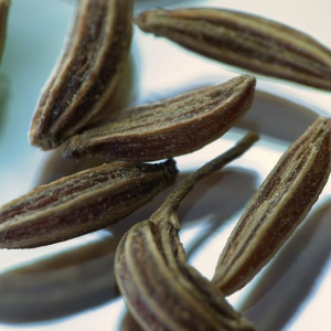 photo-produit-biolandes