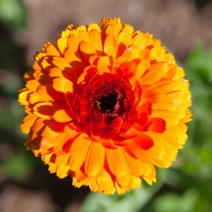 photo-produit-MHUA0002
