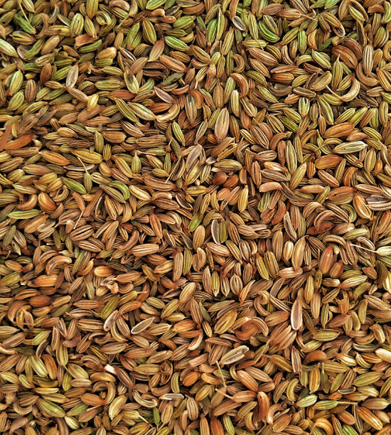 BLACK CUMIN