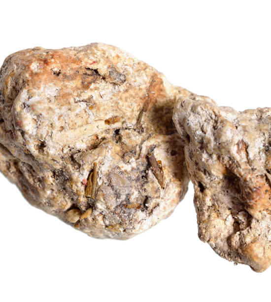 AMBERGRIS