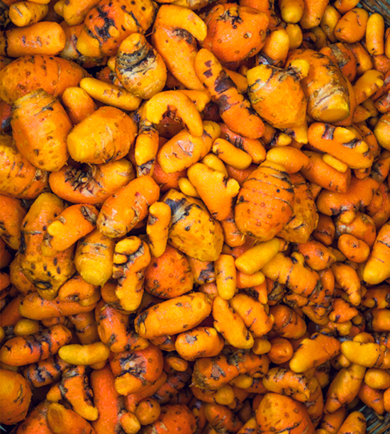 CURCUMA INCO 100